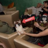  Sproing Pics (117/145)